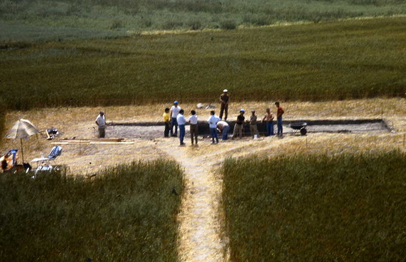 Veduta del sito archeologico dell'Ipogeo della Medusa durante le indagini.