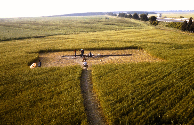 Veduta aerea ravvicinata dell'area di scavo dell'Ipogeo della Medusa.